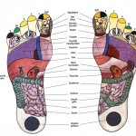 Zones de réflexologie